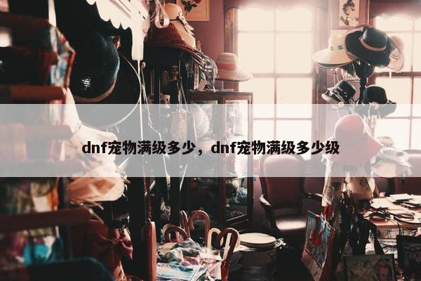 dnf宠物满级多少，dnf宠物满级多少级