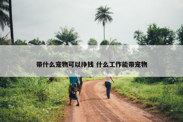 带什么宠物可以挣钱 什么工作能带宠物