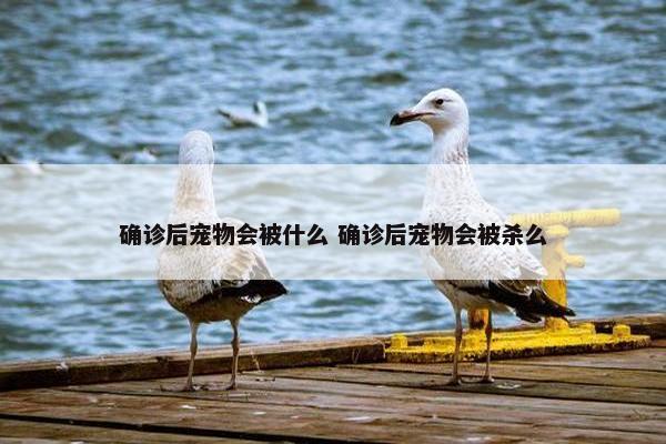 确诊后宠物会被什么 确诊后宠物会被杀么