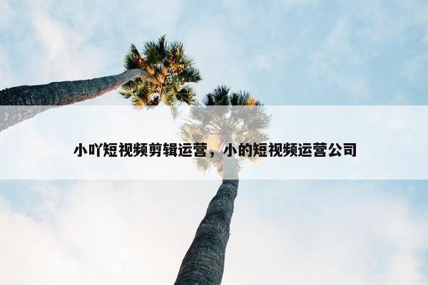 小吖短视频剪辑运营，小的短视频运营公司