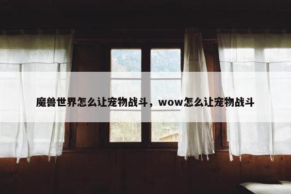 魔兽世界怎么让宠物战斗，wow怎么让宠物战斗