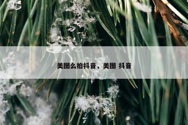 美图么拍抖音，美图 抖音