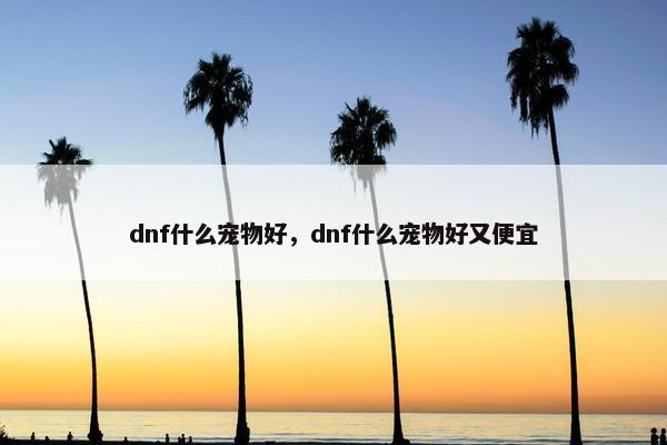 dnf什么宠物好，dnf什么宠物好又便宜