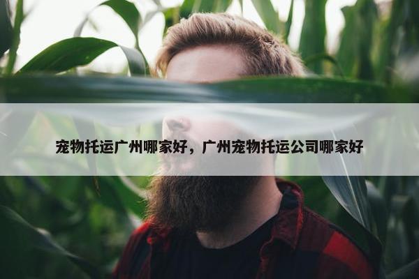 宠物托运广州哪家好，广州宠物托运公司哪家好