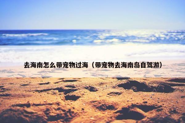 去海南怎么带宠物过海（带宠物去海南岛自驾游）