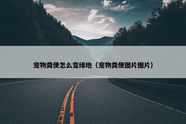 宠物粪便怎么变绿地（宠物粪便图片图片）