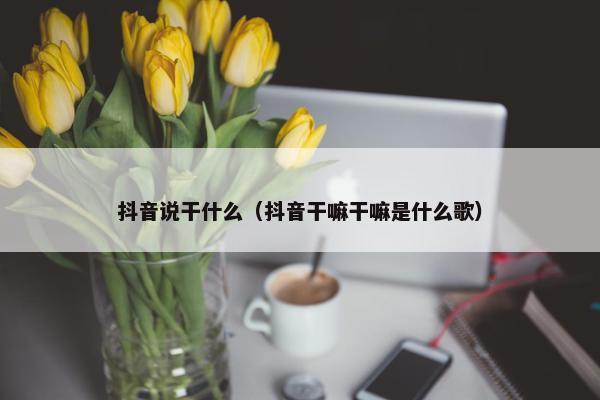 抖音说干什么（抖音干嘛干嘛是什么歌）